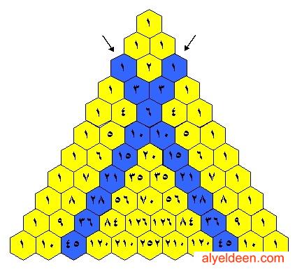 ماذا تعرف عن مثلث باسكال ؟؟؟ Do.php?imgf=geniusit12979661531